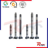 European Series S-Camshaft for Truck Trailer and Heavy Duty