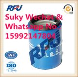 Fuel Filter Auto Parts for Daf Used in Truck (1296851, 1393640)