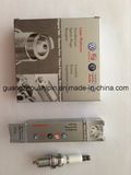 101 905 611 G Automobile Spark Plug