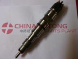 Common Rail Injector 0445120215 (fit for DLLA149P2166) for Xichai 6dm2