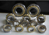 Cylindrical Roller Bearing Nj322, Nj2222, N222, Nu2220, Nj2220, N322, Nu322, Nu2322, Nj2322, Nn3022