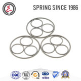 Custom Various Oil Seal Spring for Automotive Transmission
