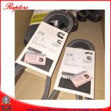 Cummins V Ribbed Belt (3972378) for Cummins Bfcec Engine
