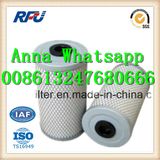 Fuel Filter for Benz (C11860Z)