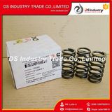 Cummins Engine Valve Spring 3916691 for 4bt/6bt