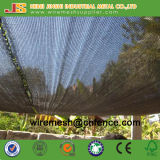 Building Safety Net/ Vegetable Use Shade Net