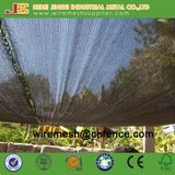 Building Safety Net/ Vegetable Use Shade Net