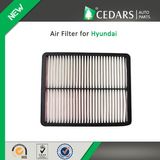 China Auto Parts Quality Supplier Air Filter for Hyundai