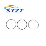 Auto Parts Piston Rings for BMW 1125 7574 822