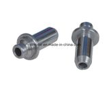 Motorcycle Accessories Motorcycle Valve Guide for Honda Biz C100