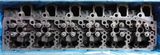 Cylinder Head for Deutz Tcd2013L064V