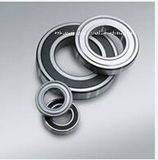 Auto Bearing, High Quality Bearing Deep Groove Ball Bearing 6005, 6005z, 6005-2z, 6005RS, 6005-2RS, 6005n