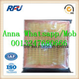 Air Filter C20106 for Man