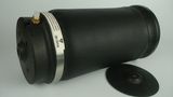 W164 Ml Class Air Shocks Rear for Benz 