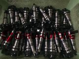 Fuel Pump Elements Diesel Plungers for Injection Pump OEM 2418455192