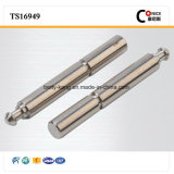China Supplier Non-Standard Pump Shaft for Home Application