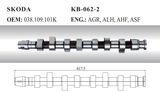 Auto Camshaft for Skoda (038.109.101k)