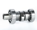 Cam Shaft Assy for Boxer-Bm100-Classic/CT100