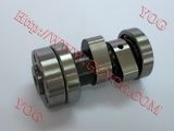 Motorcycle Parts Motorcycle Camshaft Moto Shaft Cam for CH100