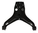 Auto Control Arm