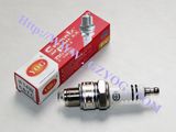 Motorcycle Parts Spark Plug Bujia (E6TC)