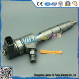 Erikc 0445 110 521 Bico Fuel Pump Injector 0445110521 and 0 445 110 521 Bosch Diesel Pump Injector for Kobelco, Jmc