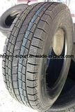 Car Tyres All Season Passenger Tyre 205/55r16 Semi Radial Tyre