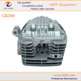 Motorbike/Motorcycle Cylinder Head for CB200 Engine Parts