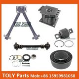 Truck Parts for France Morocco Congo Benin Chad Market for Renault