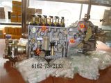 Cummins Pump Injection Pump (6162-73-2133)