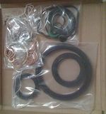 Full Gasket Kits for Diesel Engine FL1011