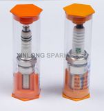 Super Ngk Bosch AC Eyquem LG Iridium Spark Plug