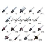 Xenon Headlights, HID Lights, HID Bulb, HID Headlights, Manufacturer HID, Car LED Lamps, Auto LED Bulb, Car LED Bulb, Auto Bulb Upgrade