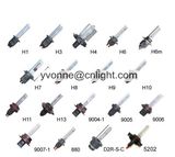 Xenon Headlights, HID Lights, HID Bulb, HID Headlights, Manufacturer HID, Car LED Lamps, Auto LED Bulb, Car LED Bulb, Auto Bulb Upgrade