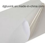 Vinyl Self adhesive Eco Solvent Printing Media