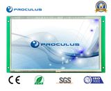 10.1'' 1024*600 TFT LCD Module with Rtp/P-Cap Touch Screen