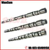Camshaft 3066882 Cummins Camshaft for Engine Kta19