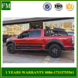 Door Decoration Ladding for Ford F-150 2015-2017