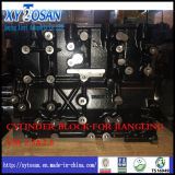 Sole Supplier! ! ! Cylinder Block for Jiangling Vm 2.5 & 2.8!