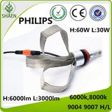 Auto LED Headlight Super Bright