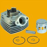Hot Selling Motorbike Cylinder, Motorcycle Cylinder for Ss8010