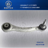 Suspension/Steering Parts Rear Control Arm with Ball Joint
