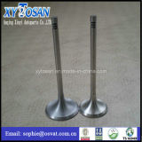 Engine Valves for Ford Fiesta/ BMW Benz Ford (all modles of car/truk/marine)