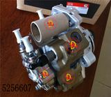 Spare Parts Pump (5256607) for Cummins