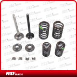 Motorcycle Parts Intake Exhaust Valve Set for Eco100