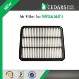 China Auto Parts Quality Supplier Air Filter for Mitsubishi
