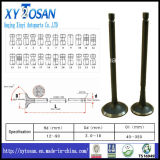 Inlet & Exhaust Valve for Engine Peugeot (Xr5)