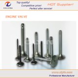 Motor Spare Parts, Motorcycle Engine Intake and Exhaust Valve for Motorbike