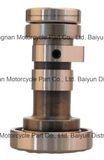 Motorcycle Parts Motorcycle High Quality Cam (GY6-125 KCW125 CB-125 BIZ-125 CT-100 AX4-125 MIO BIZ-100)