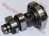 Motorcycle Parts Camshaft for Fz16 Good Camshaft